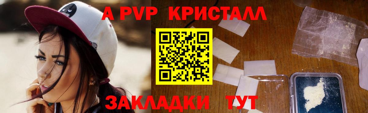 Альфа ПВП СК  Alfa_PVP крисы CK  Вход с VPN  A PVP СК КРИС  Махачкала 