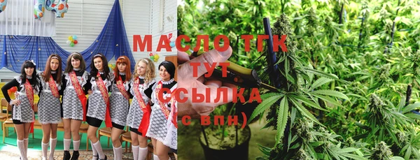 молекула духа Новодвинск