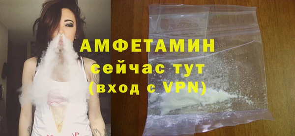 молекула духа Новодвинск