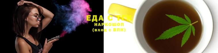 молекула духа Новодвинск