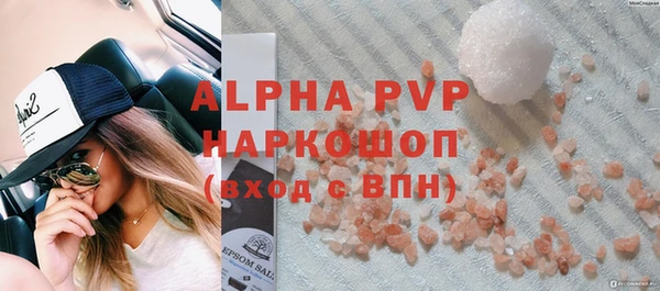 молекула духа Новодвинск