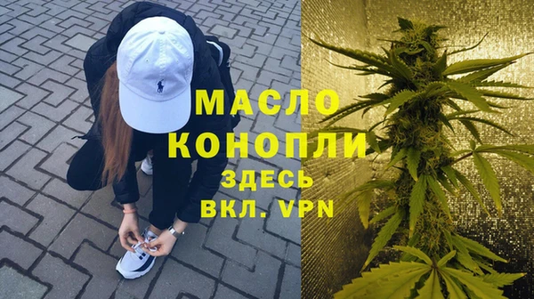 молекула духа Новодвинск