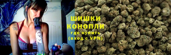 молекула духа Новодвинск