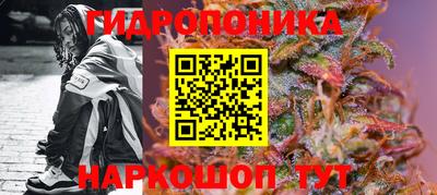гидра Камышлов