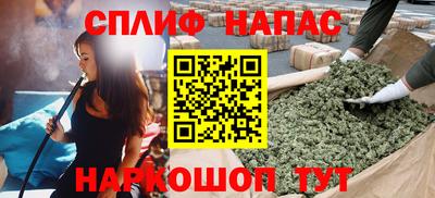 гидра Камышлов