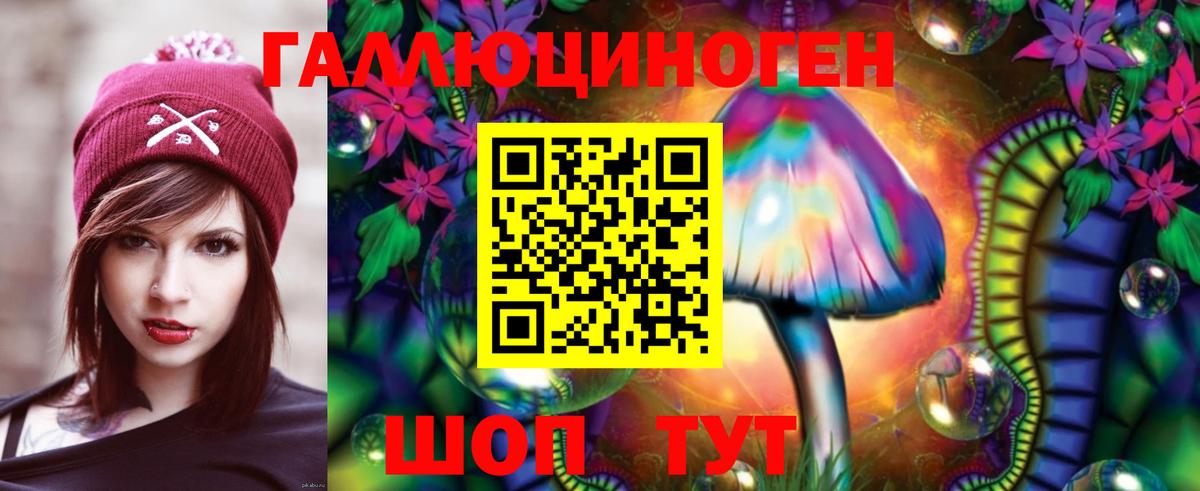 Махачкала  Псилоцибиновые грибы прущие грибы  Вход с VPN 